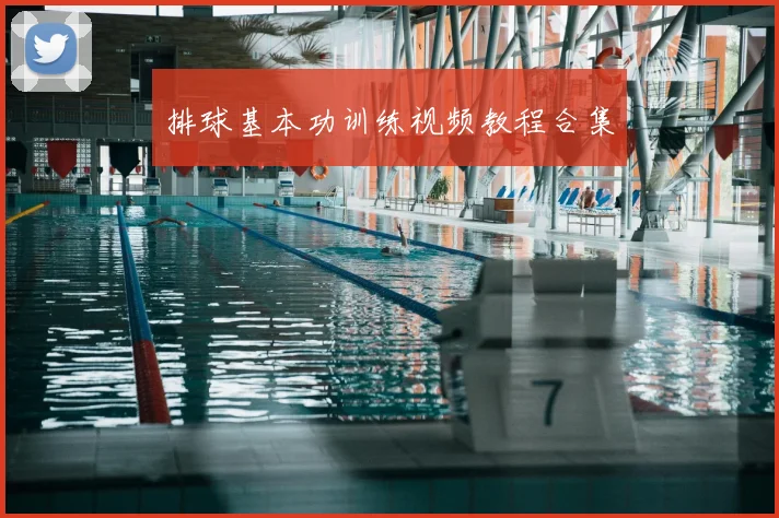 排球基本功训练视频教程合集