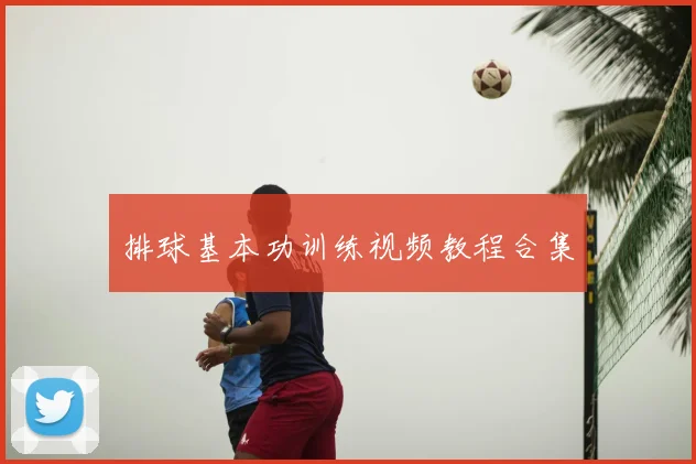 排球基本功训练视频教程合集